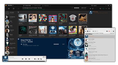 MusicBee Plus 3.5 Free Download Trial
